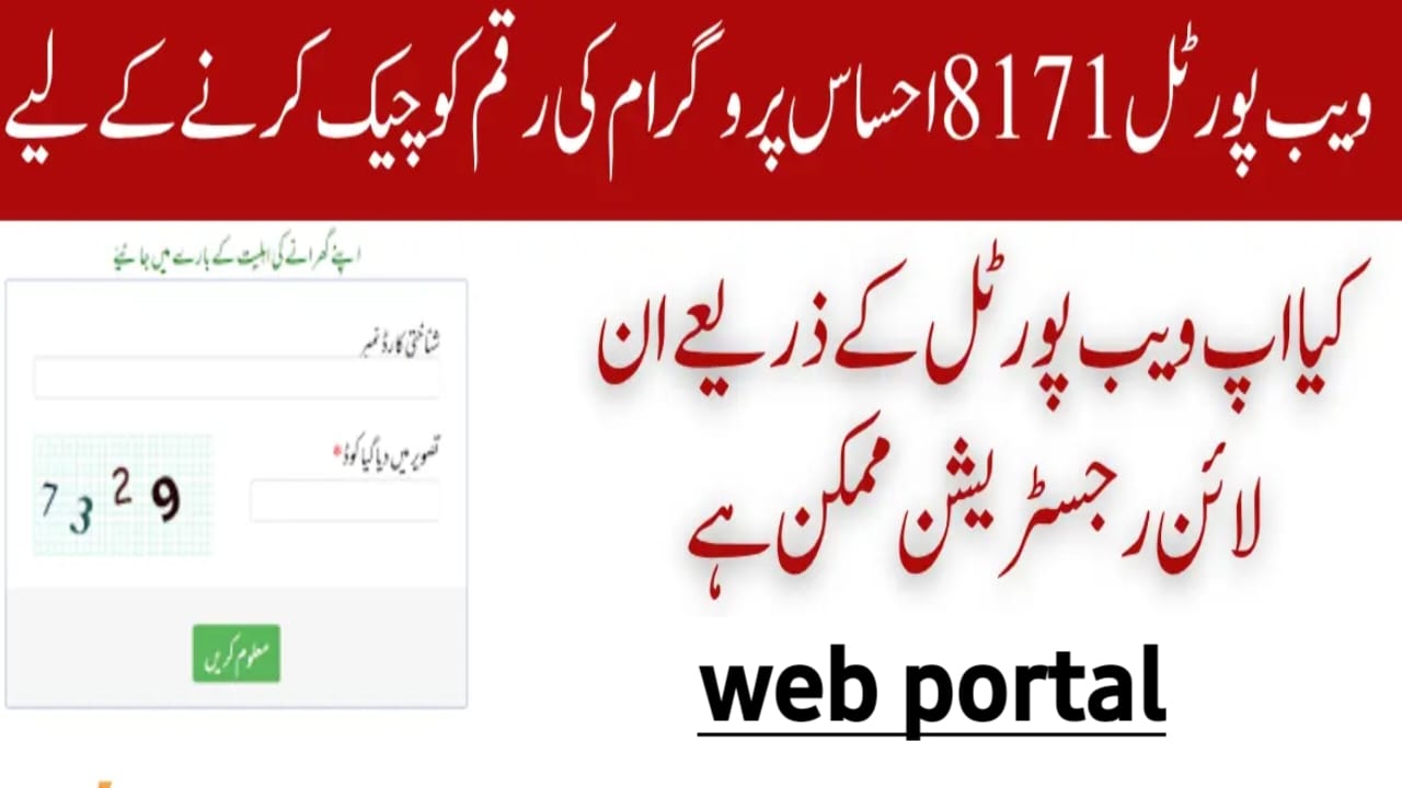 Understanding the 8171 Web Portal and BISP Alerts