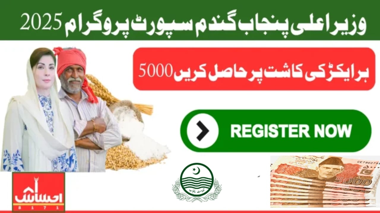 CM Punjab Wheat Support Program 2025—A Comprehensive Guide for Farmers