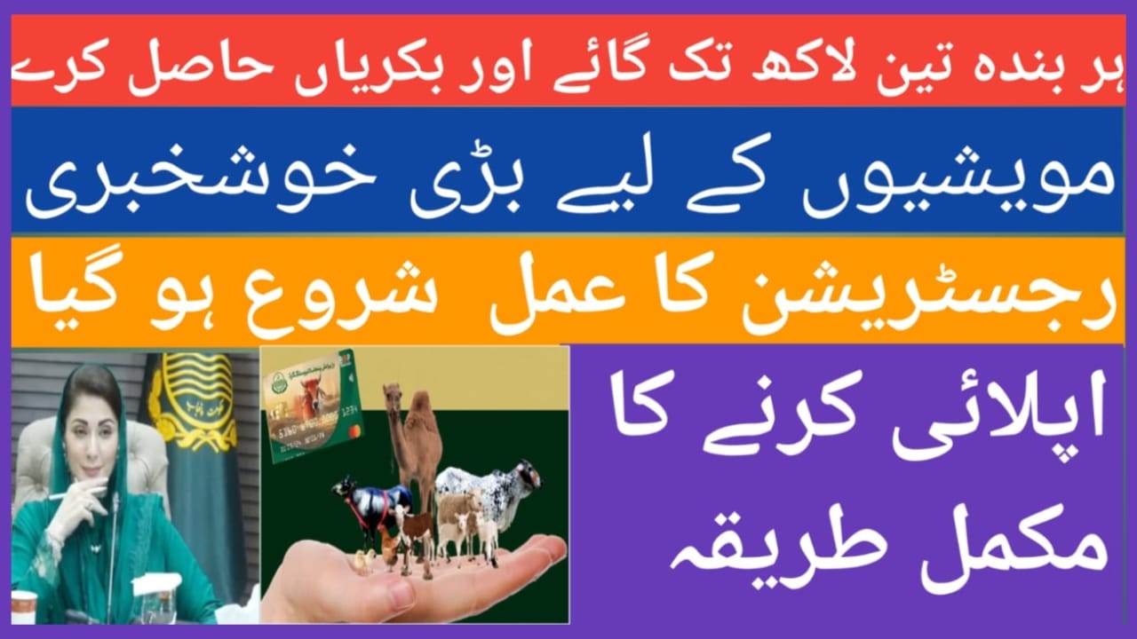 CM Livestock Asset Program: A Step Towards Empowering Rural Livelihoods