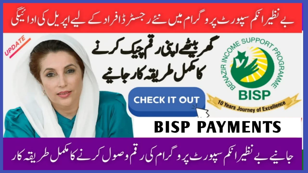 Complete Guide to Checking Your BISP Payment in Pakistan