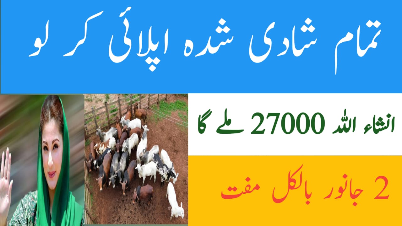 CM Punjab Livestock Scheme 2025 A Gateway to Rural Empowerment