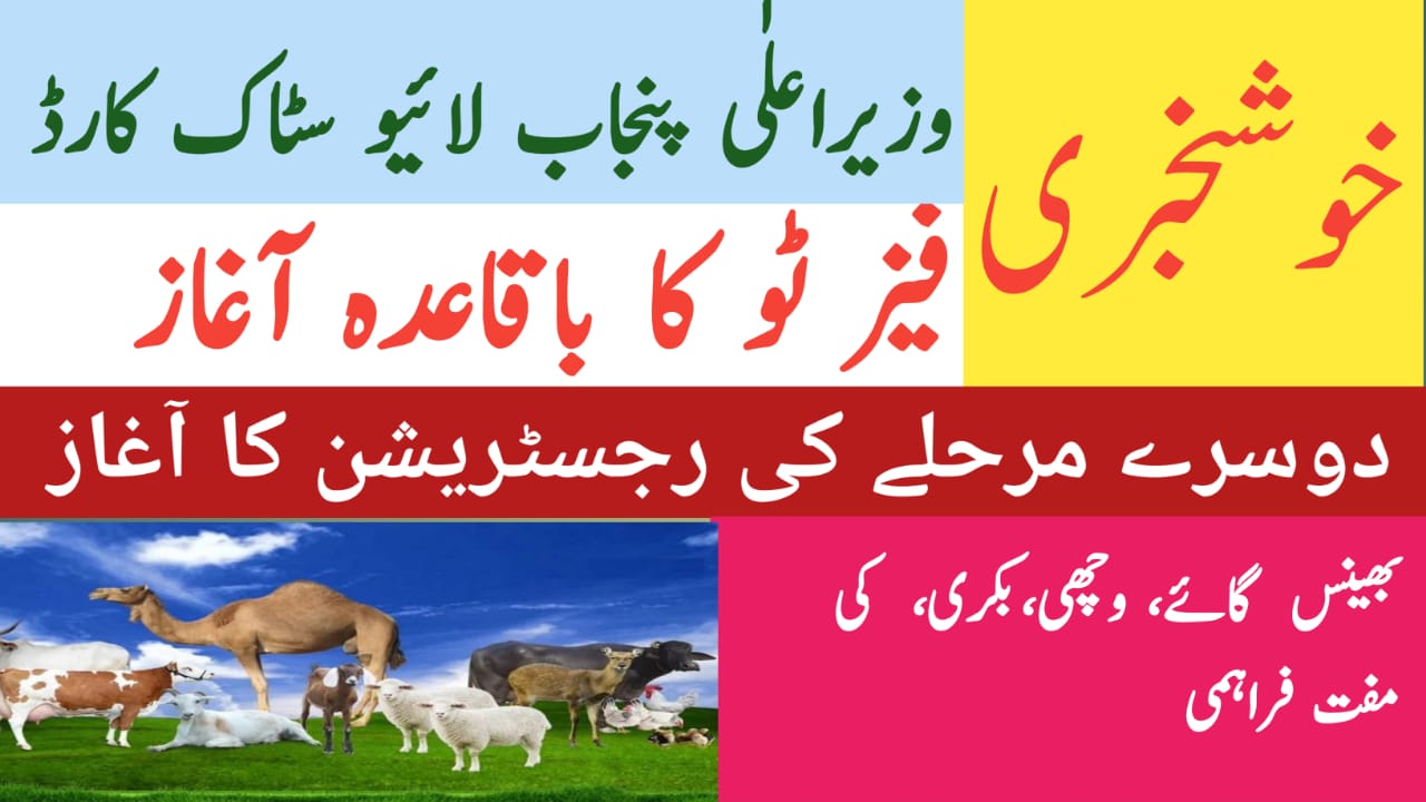 Punjab Livestock Card Scheme Phase 2|| Empowering Small Farmers with Interest-Free Loans