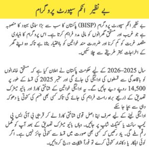 BISP Program 2025–2026 || Receive Payments Without Any Tension – September Update, bispga.com