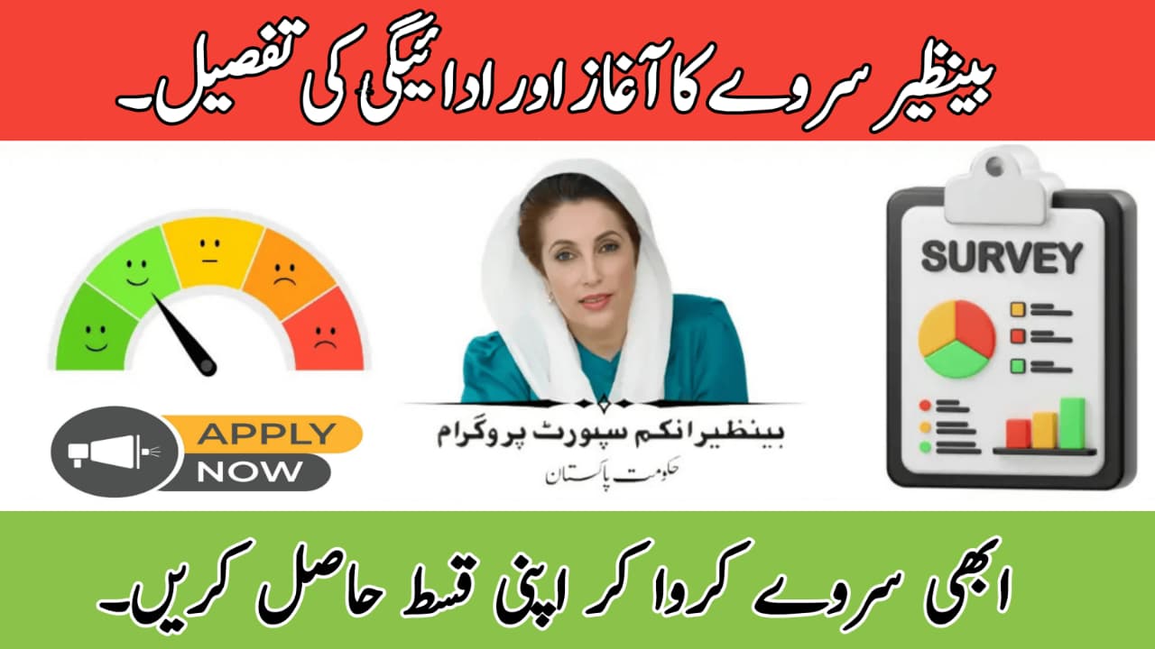 Benazir Survey 2025
